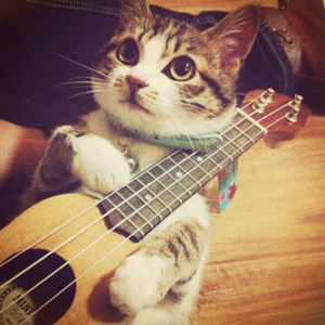 一级黄色片大鸡巴的大逼的内裤袜子
