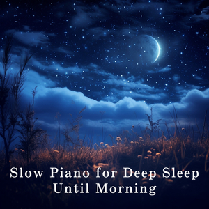 一级黄色片大鸡巴的大逼的内裤袜子
